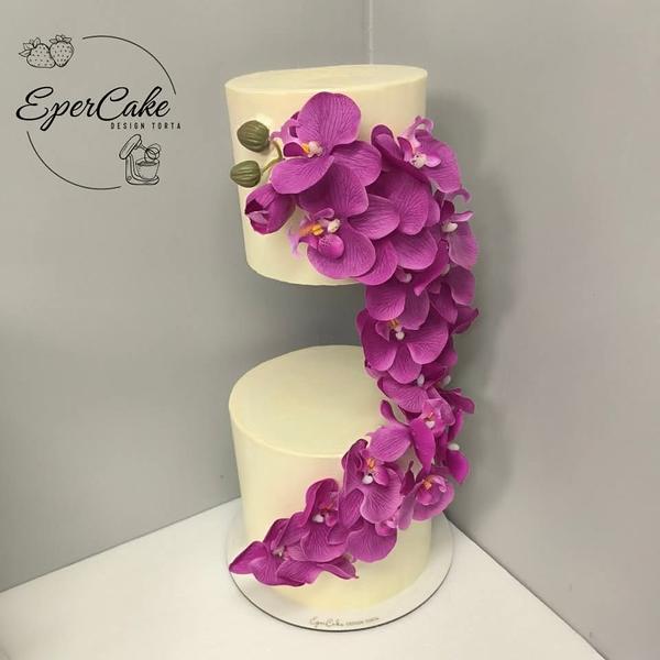 EperCake Design Torta